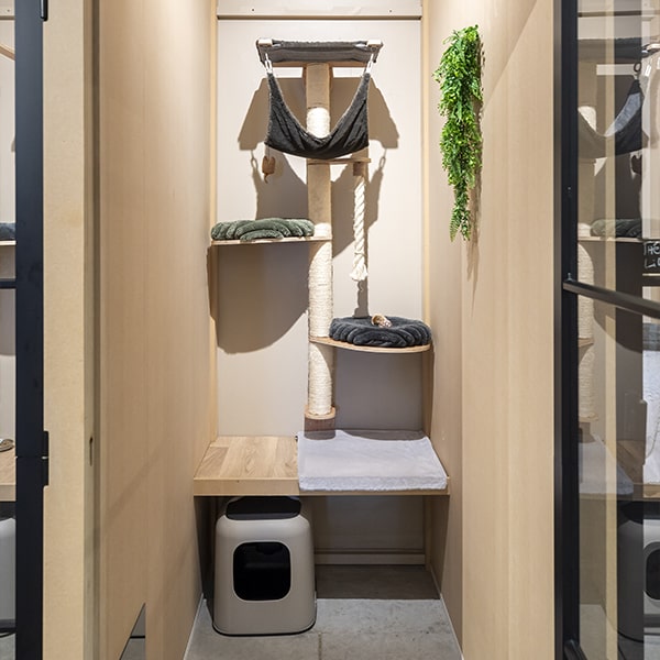 Cat's boutique Hôtel Room Uccle