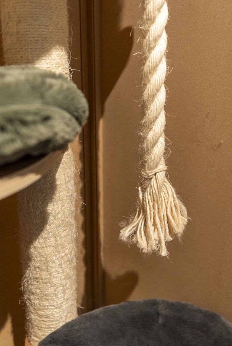 Cat's boutique Hôtel Room Uccle