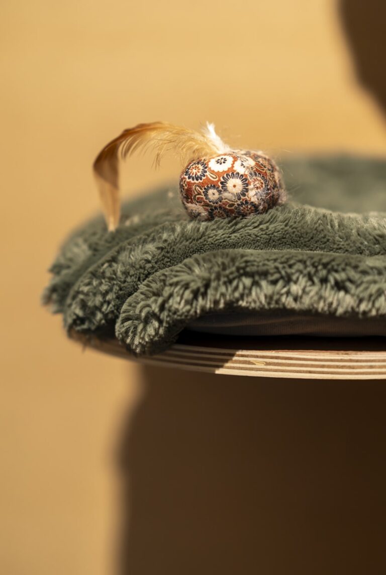 Cat's boutique Hôtel Room Uccle